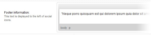 Footer information
