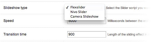 Slideshow options